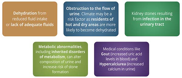 Causes of Kidney Stones